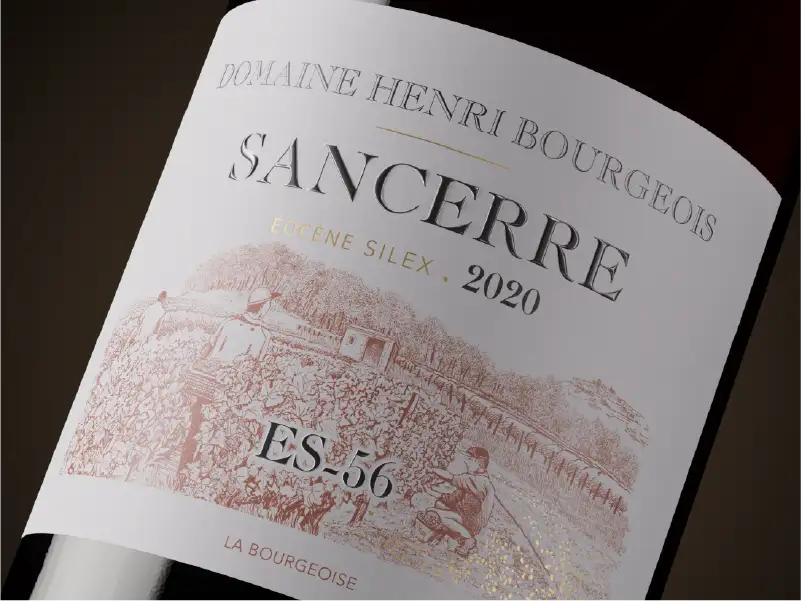 Millésime vin : pourquoi ça change tout ?