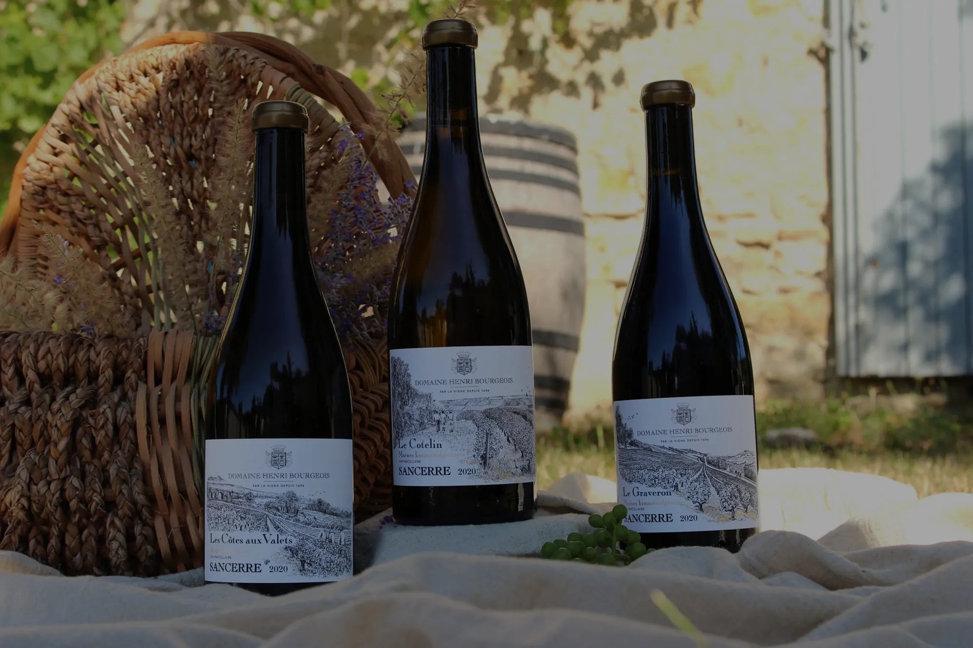 Comment lire une étiquette de vin ? Le guide complet
