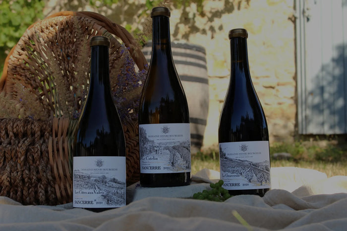 Comment lire une étiquette de vin ? Le guide complet