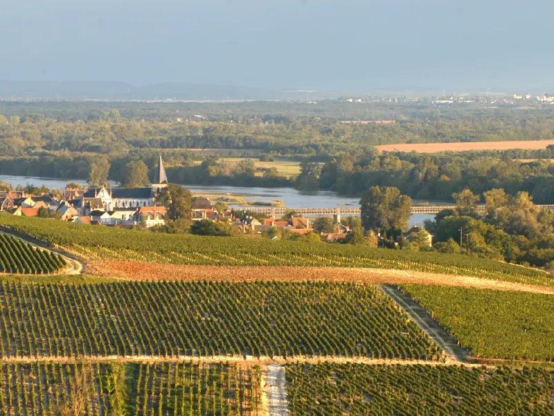 Pouilly-Fumé : quels accords mets et vins ?