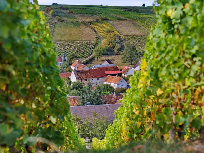 Que faire à Sancerre ?