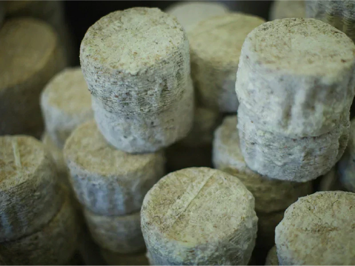 Quel vin avec du fromage de chèvre? Le guide des accords parfaits