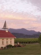 "Estate" Sauvignon blanc 2025