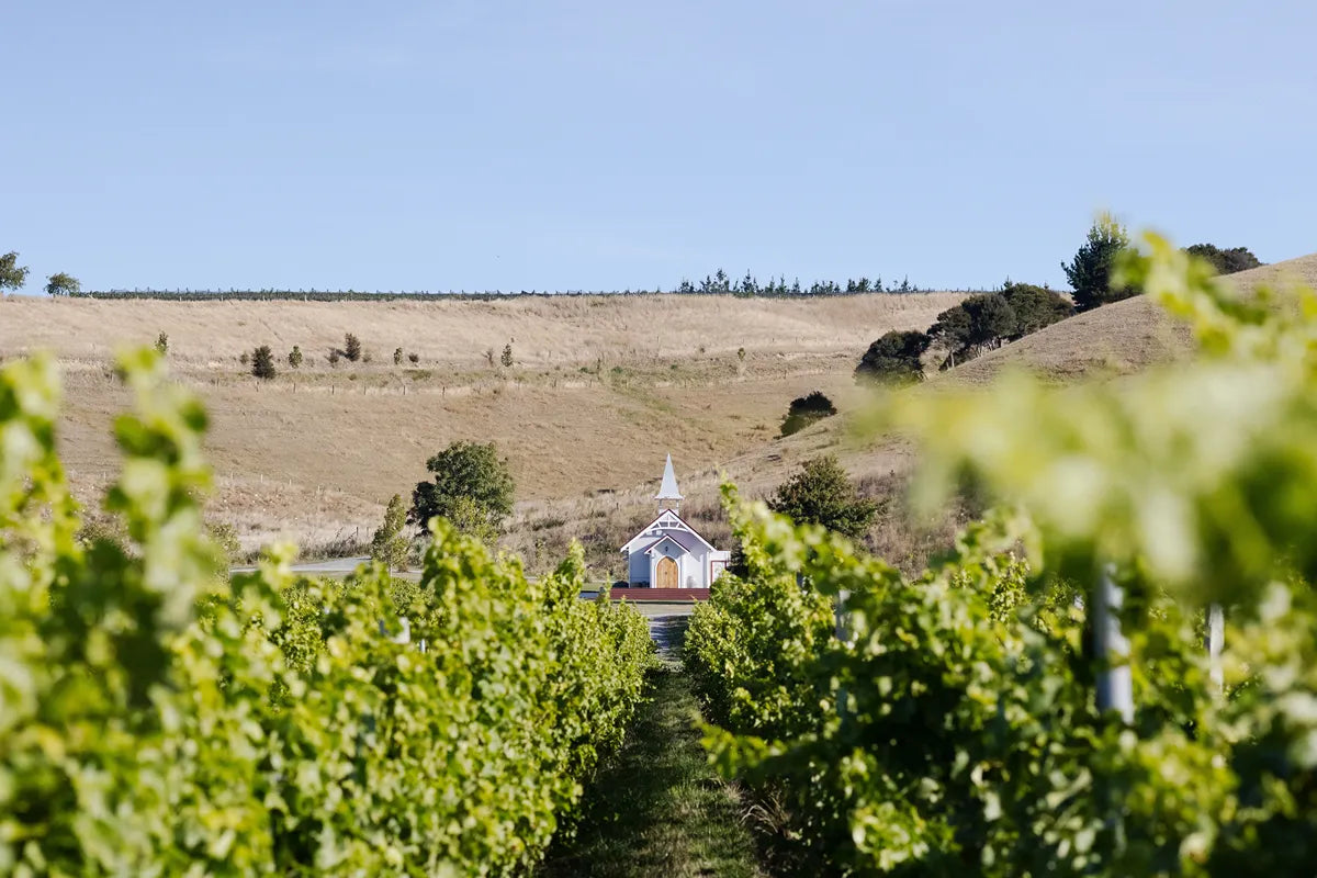 Vue détaillée 6 du Vin blanc "Otira" 2024 - Réf 70776698306900