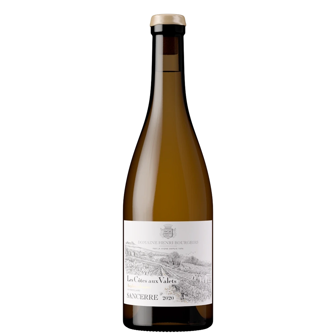 "Les Côtes aux Valets" 2020 (single vineyard)