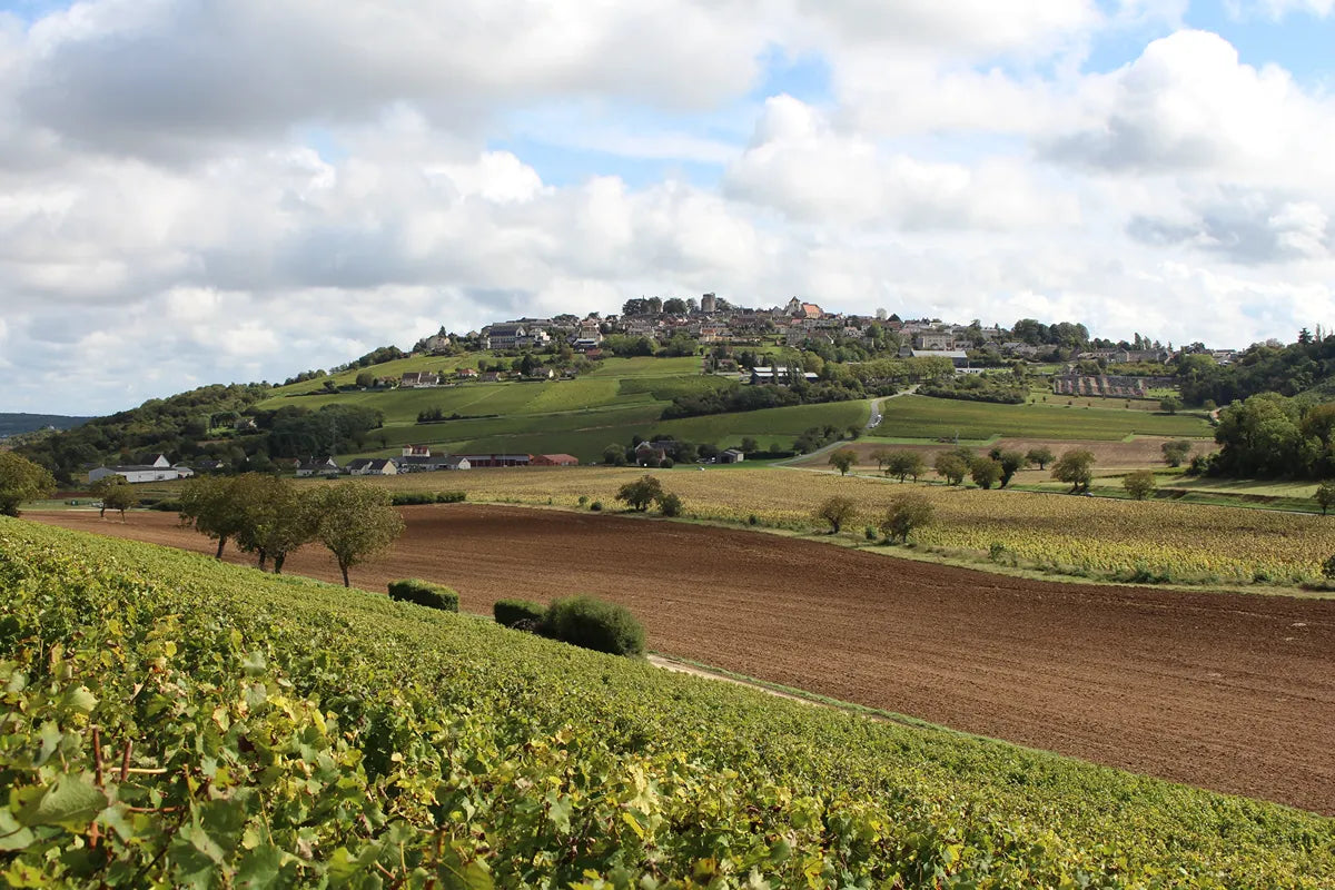 Vue détaillée 4 du Vin rouge "La Bourgeoise" rouge 2014 - Réf 70776391500116